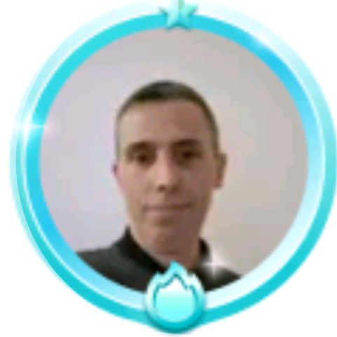 david