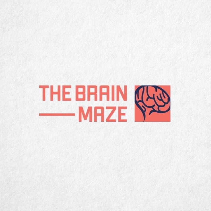 The Brain Maze